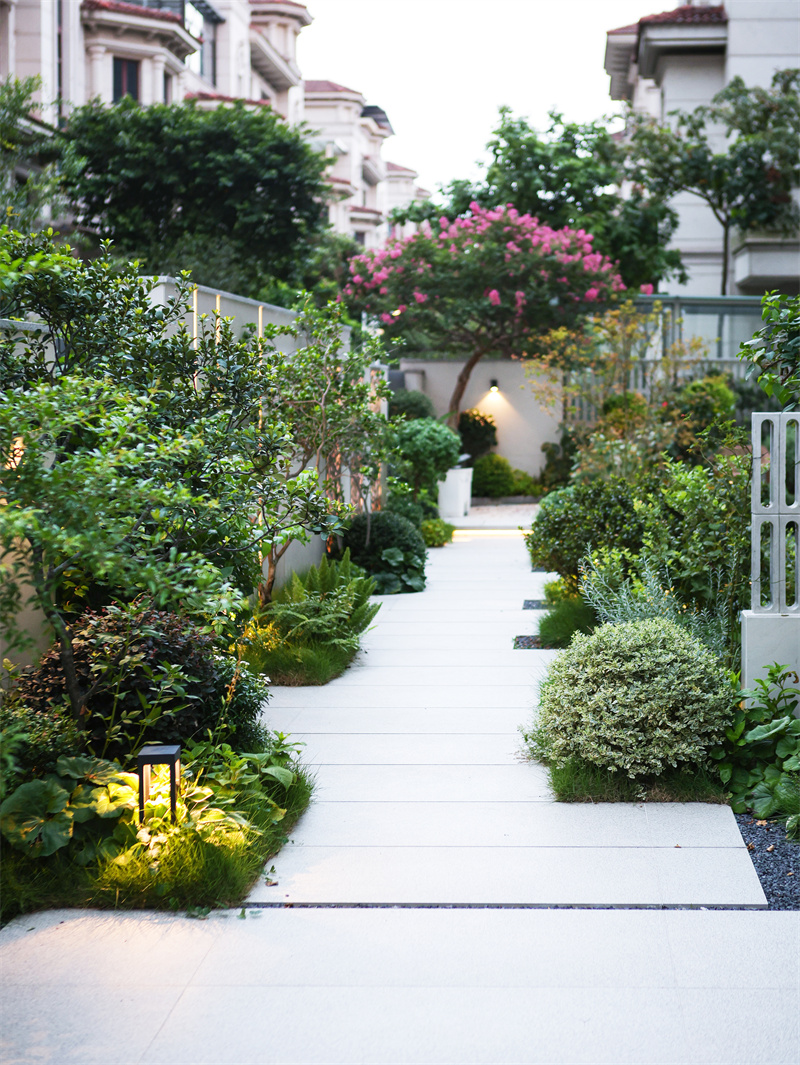 1762740534369176.jpg 花园11.jpg