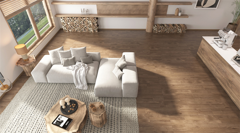 1763955689135654.jpg 715F138D 暖阳年轮2.jpg